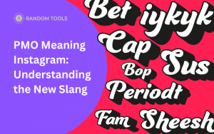 PMO Meaning Instagram: Understanding the New Slang - Random Tools Blog